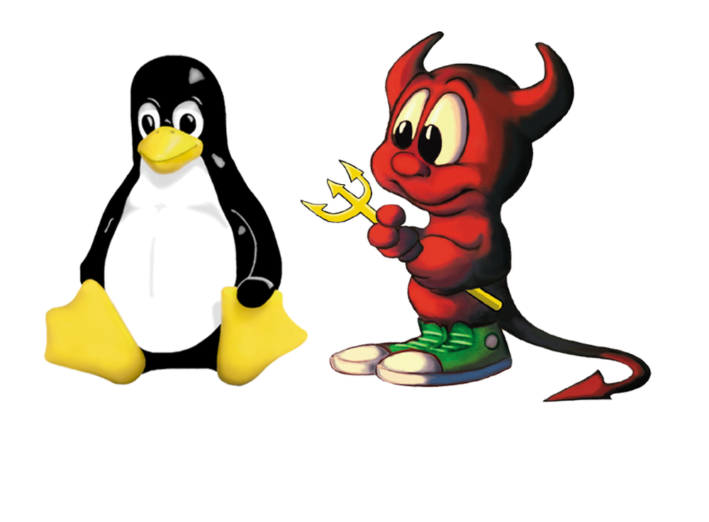 CPanel Linux or FreeBSD Hosting!