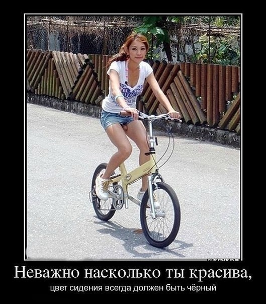 http://cs6.pikabu.ru/images/big_size_comm/2015-07_2/14363472741049647.jpg