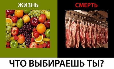 Кардио для похудения в тренажерном зале