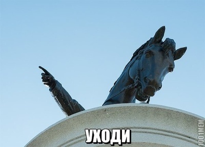 1437752133177913010.jpg