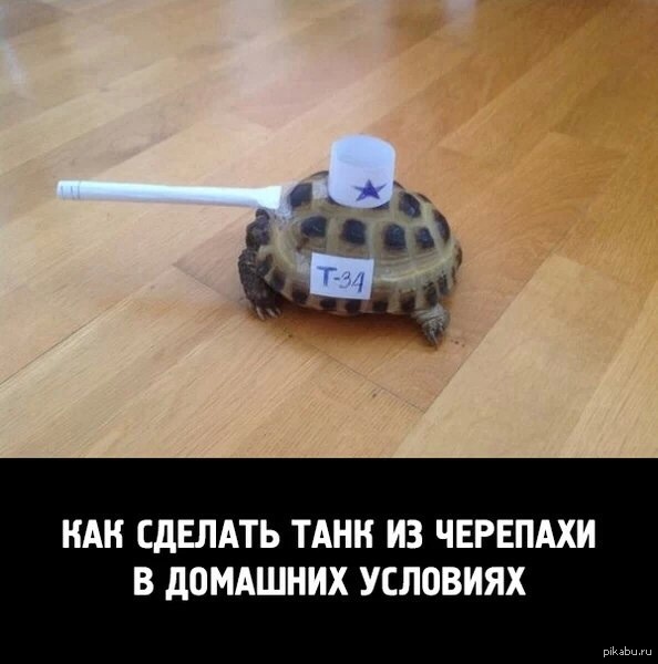 Как сделать из черепахи танк