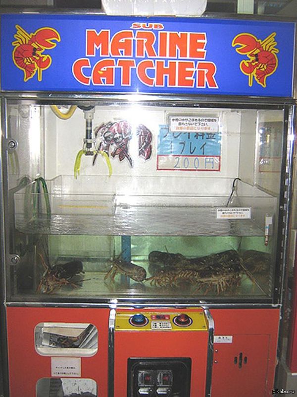 Игровые автоматы играть йен