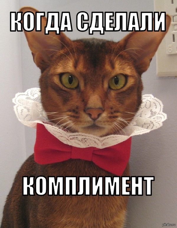 Когда делают комплимент как ответить на Когда делают комплимент как ответить на