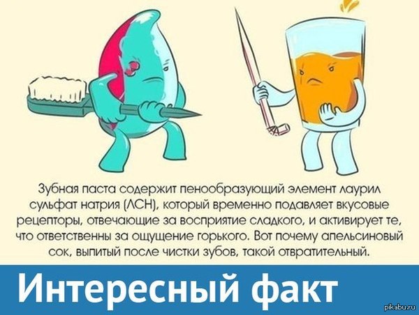 Интересные факты про зубы зубами Интересные факты про зубы зубами