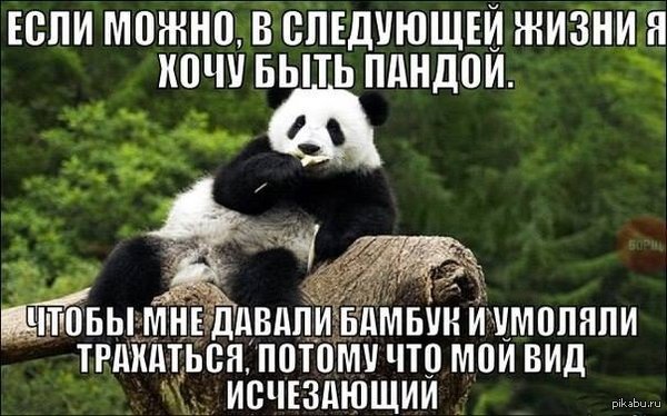 Объемная вышивка Мучительная неизвестность - krutitsy Живой Журнал
