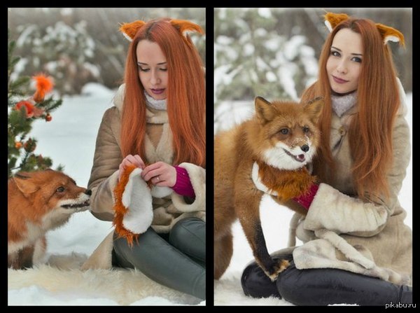 Ободок лиса Ободок лиса