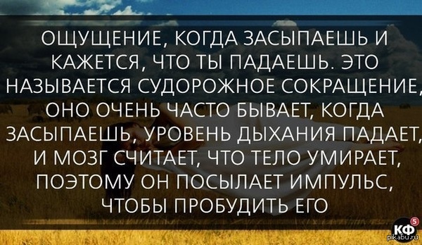 Почему когда начинаешь засыпать кажется что падаешь Почему когда начинаешь засыпать кажется что падаешь