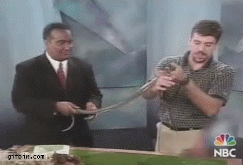1427013184_1302495581.gif
