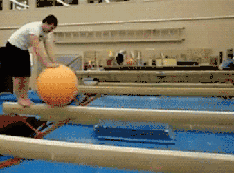 1428060663_2023960487.gif