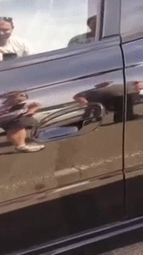 1428068052_67720208.gif