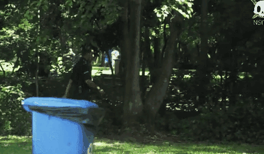 1434778035_119425686.gif