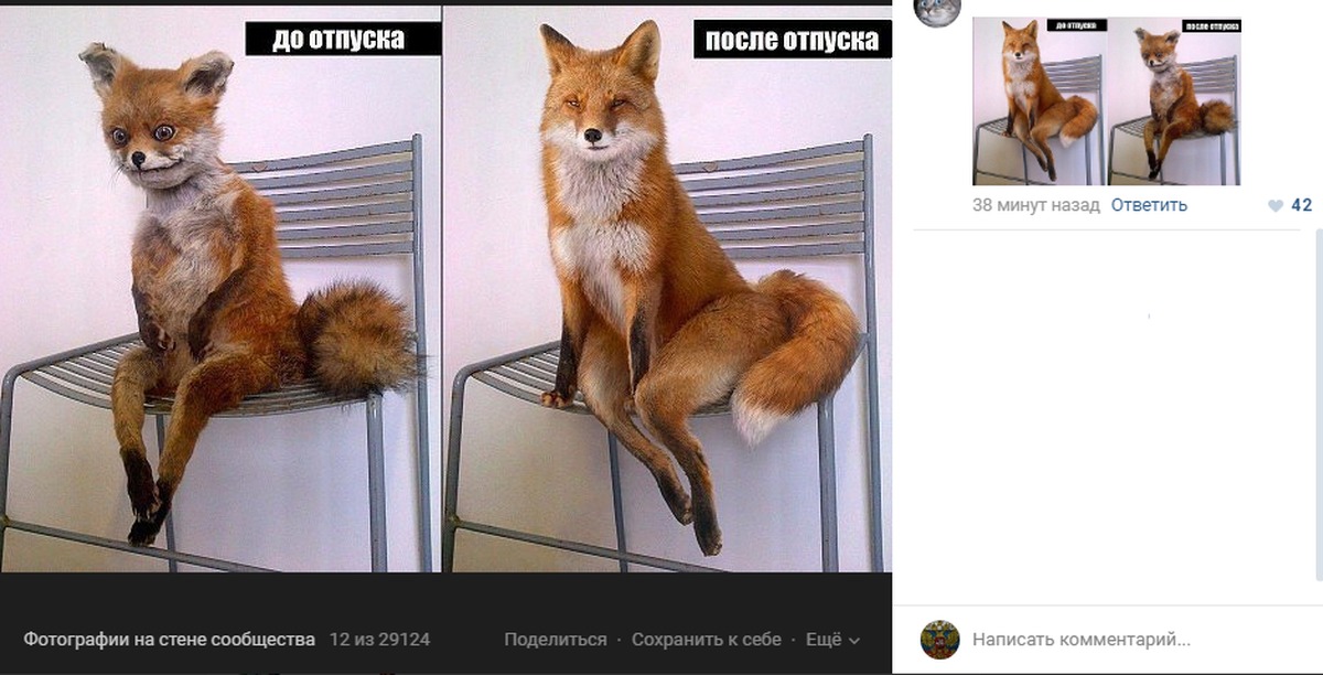 Рыженькая лисичка подставила киску порно фото и секс фотографии