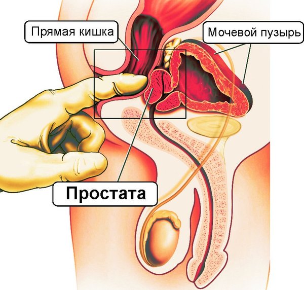 Как сделать точку g