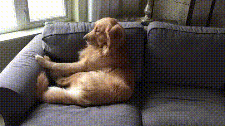 149595273112494576.gif