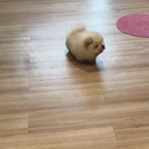 1499103829199234354.gif
