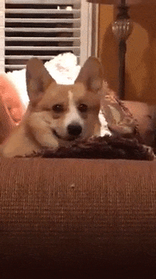 1500127887197194273.gif