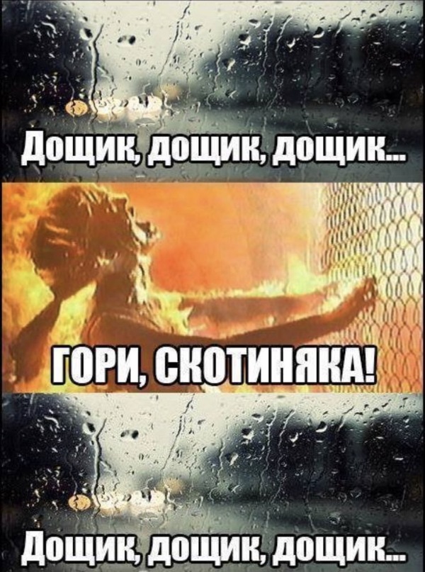 1500287709144269986.jpg