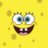 Sponge