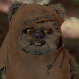 Ewok Porn