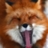 MagicFox