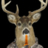 HolyDeerWithBeer