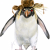 ������ ������������ RussianPenguin