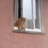 tolstat