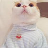 ������ ������������ TerukoMi