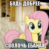 ������ ������������ andreyika02
