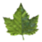 tucibi