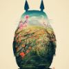 ������ ������������ totoro88