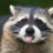 HappyRaccoon56