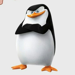 skipper91