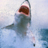 SharkTv