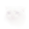 RukavPlecho