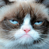 ������ ������������ DjangoUnchained