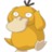 Psyduck