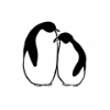 ������ ������������ Arctic.Penguin