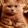 ������ ������������ svetikitty