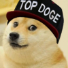   TopDoge