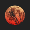 Pikabu profile picture for @astrology