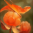 olesia2016