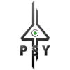 psy486