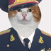 meowmeaws