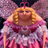 BeerFairy3979