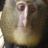 r0gertrip