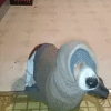������ ������������ geka412315