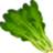 StreamerSpinach