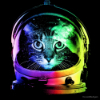 ������ ������������ AliceInAcidland