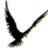 IvIex